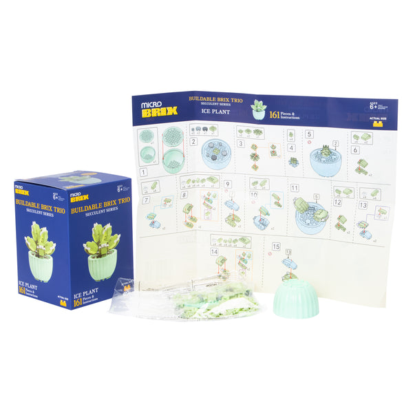 Succulent Buildable Brix Trio 3-Pack - image 2