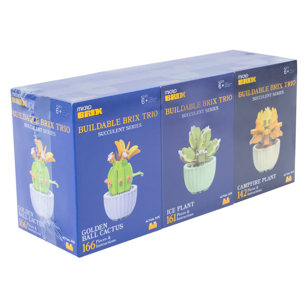 Succulent Buildable Brix Trio 3-Pack - image 4