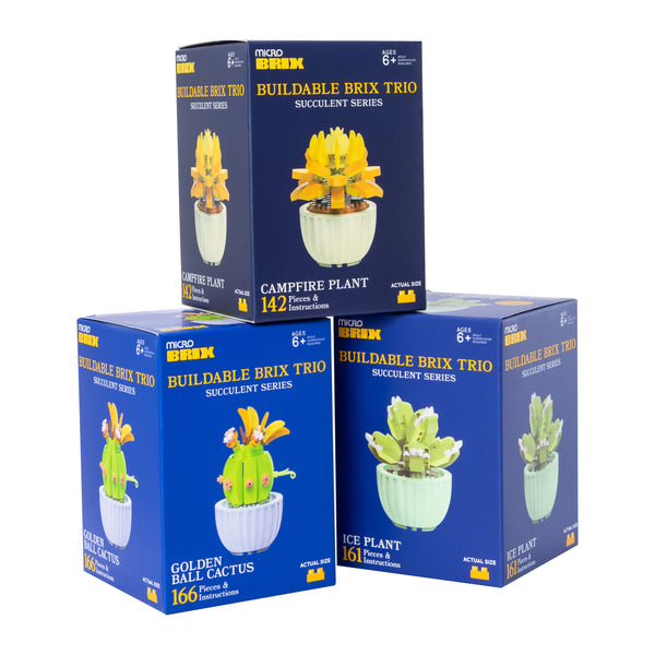 Succulent Buildable Brix Trio 3-Pack - image 5