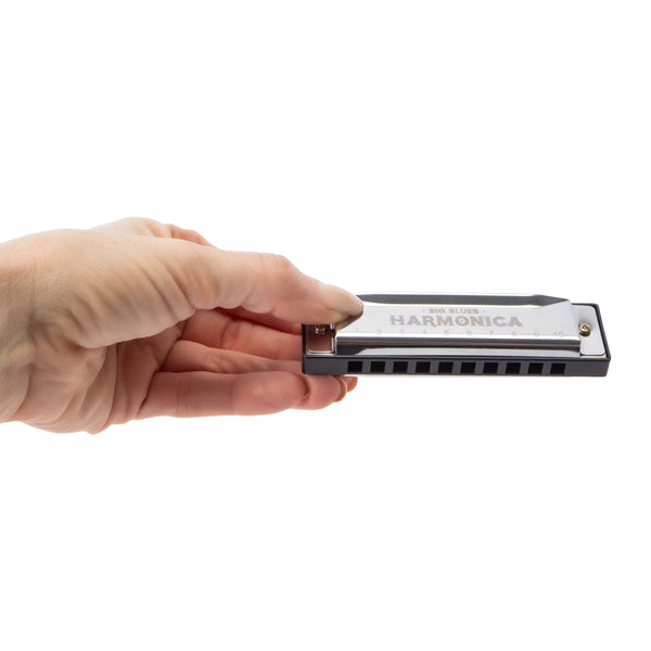 Feel The Blues Harmonica - image 4