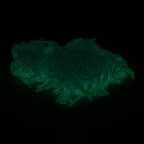Wiggle Wormz Toy (Styles May Vary) - image 4