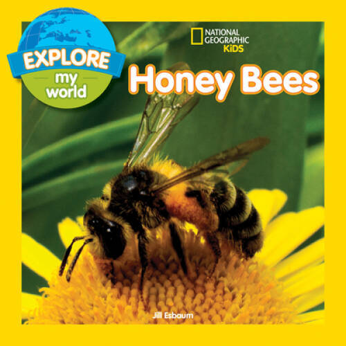 Explore My World: Honey Bees - Paperback By Esbaum, Jill - VERY GOOD