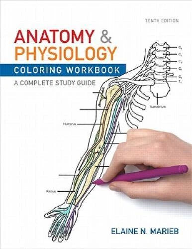 Anatomy and Physiology Coloring Workbook: A Complete Study Guide - GOOD