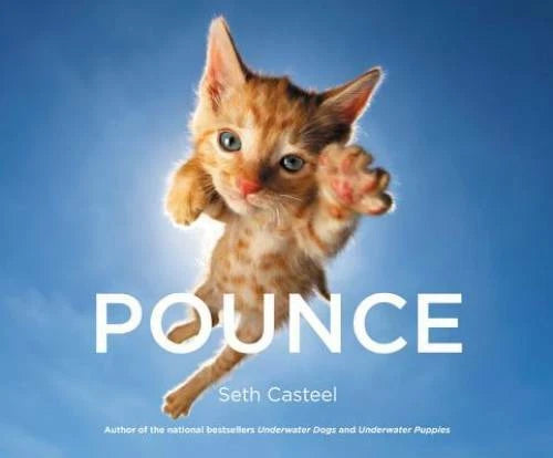 Pounce - Hardcover By Casteel, Seth - GOOD - image 2