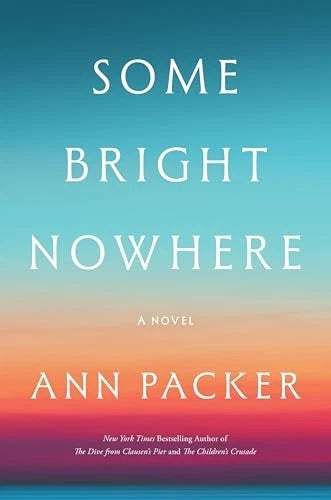 Some Bright Nowhere A Novel - VERY GOOD - image 2