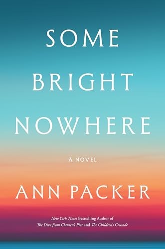 Some Bright Nowhere A Novel - VERY GOOD