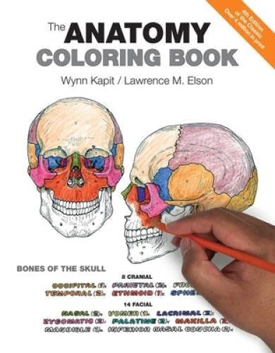 The Anatomy Coloring Book - Paperback By Wynn Kapit - GOOD - image 2