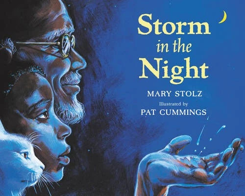 Storm in the Night - Paperback By Stolz, Mary - GOOD - image 2