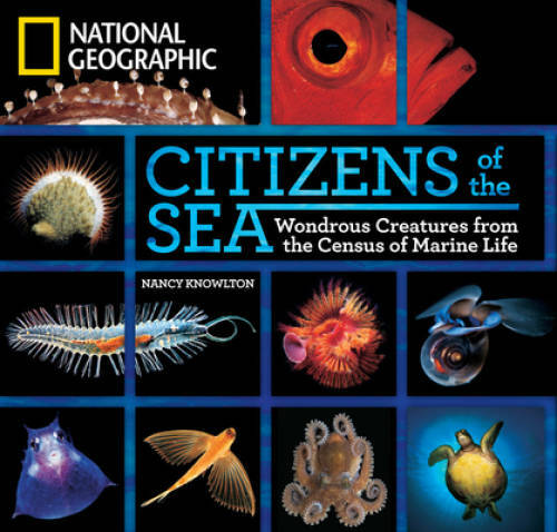 Citizens of the Sea: Wondrous Creatures From the Census of Marine Life - GOOD