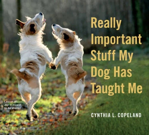 Really Important Stuff My Dog Has Taught Me - Paperback - GOOD - image 2