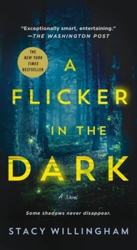 A Flicker in the Dark: A Novel - Mass Market Paperback - GOOD