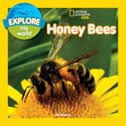 Explore My World: Honey Bees - Paperback By Esbaum, Jill - VERY GOOD - image 2