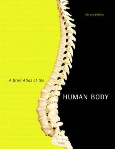 A Brief Atlas of the Human Body - Spiral-bound By Hutchinson, Matt - VERY GOOD - image 2