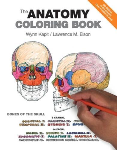 The Anatomy Coloring Book - Paperback By Wynn Kapit - GOOD