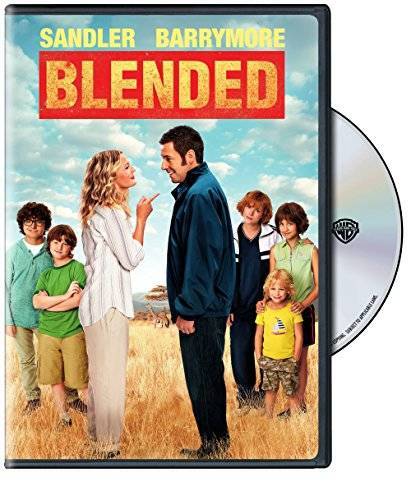 Blended (DVD) - DVD - GOOD