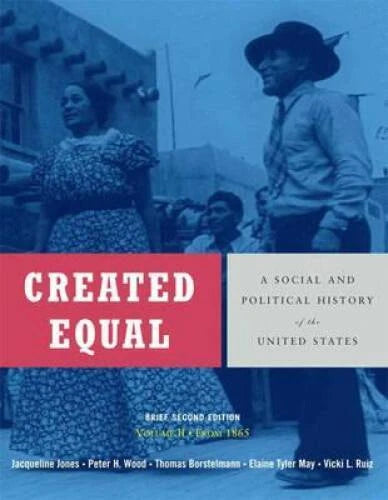 Created Equal: A Social and Political History of the United States, Brief - GOOD