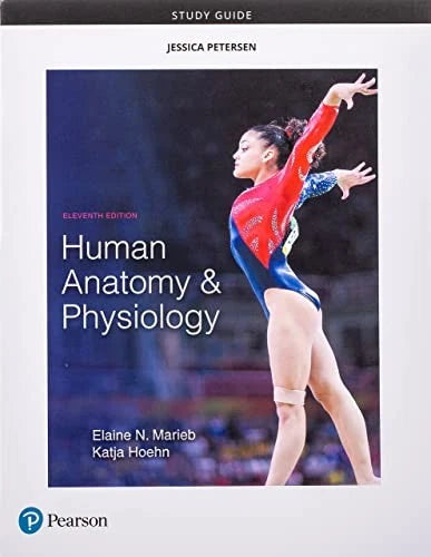Study Guide for Human Anatomy & Physiology - Paperback - VERY GOOD - image 2