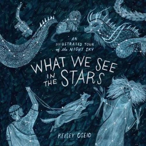 What We See in the Stars: An Illustrated Tour of the Night Sky - GOOD - image 2