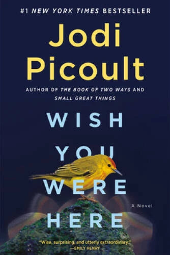 Wish You Were Here: A Novel - Hardcover By Picoult, Jodi - VERY GOOD - image 2