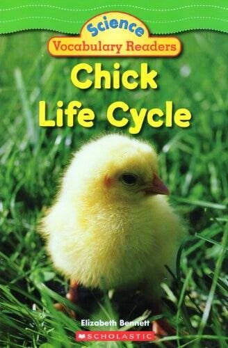 Chick Life Cycle - Paperback By Elizabeth Bennett - GOOD