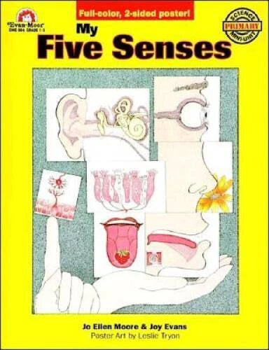 My Five Senses (Science Mini Units) - Paperback By Moore, Jo Ellen - GOOD