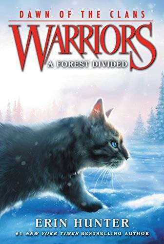 Warriors: Dawn of the Clans #5: A Forest Divided - Paperback - GOOD
