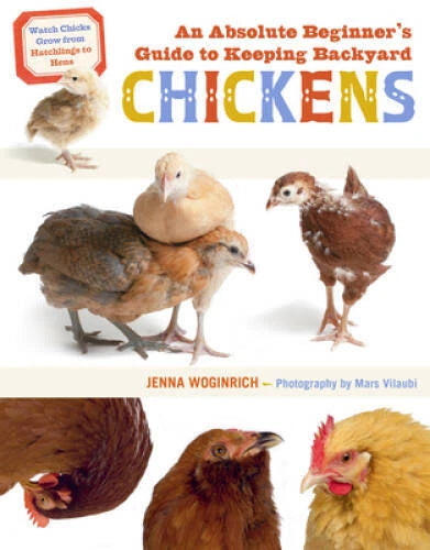 An Absolute Beginners Guide to Keeping Backyard Chickens: Watch Chicks G - GOOD - image 2