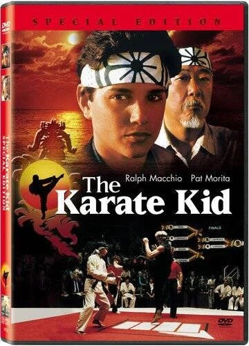 The Karate Kid (Special Edition) - DVD - GOOD - image 2