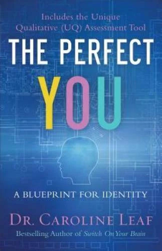The Perfect You: A Blueprint for Identity - Hardcover - VERY GOOD - image 2