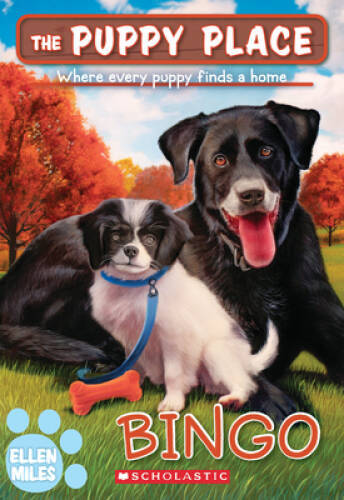 Bingo (The Puppy Place 65) - Paperback By Miles, Ellen - VERY GOOD