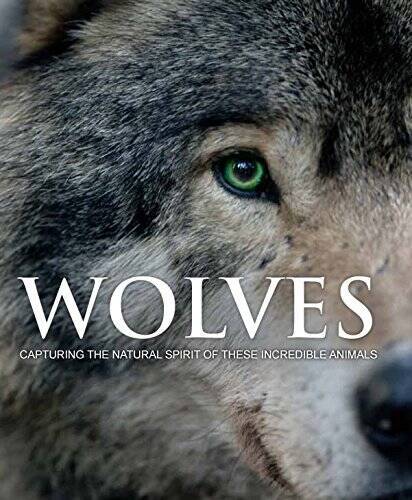 Wolves: Capturing the Natural Spirit of These Incredible Animals - GOOD