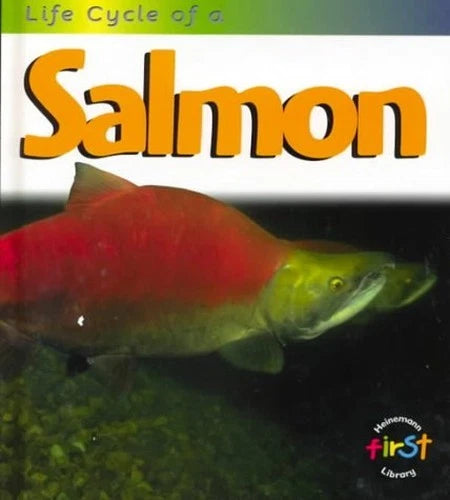 Life Cycle of a Salmon - GOOD