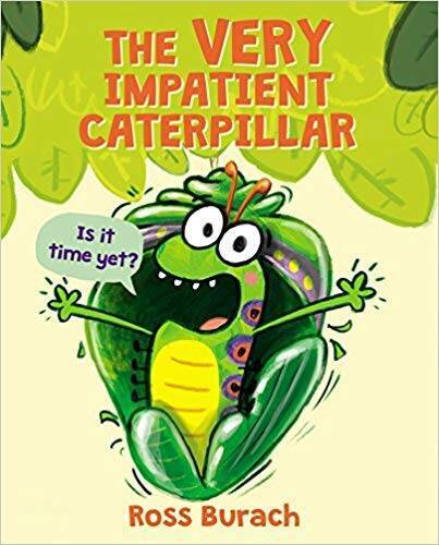 The Very Impatient Caterpillar - Paperback By Ross Burach - VERY GOOD