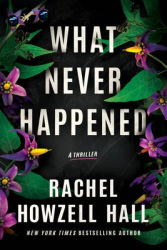 What Never Happened: A Thriller - Paperback By Howzell Hall, Rachel - VERY GOOD - image 2