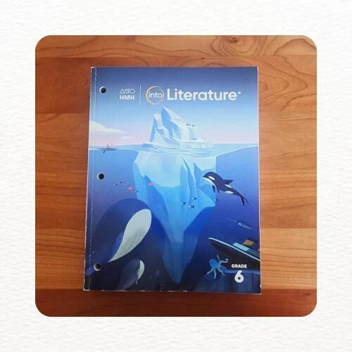 HMH Into Literature Grade 6 - Perfect Paperback - ACCEPTABLE
