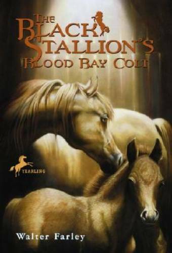 The Black Stallion's Blood Bay Colt: (Reissue) - Paperback - GOOD