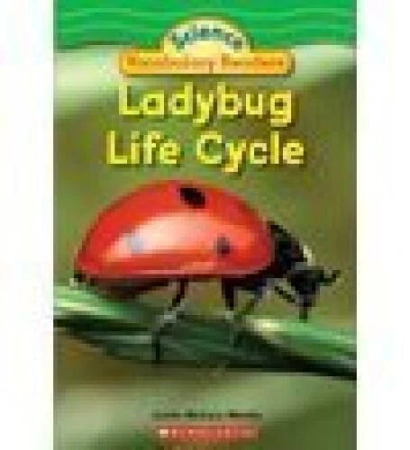Ladybug Life Cycle - Paperback By Justin McCory Martin - GOOD