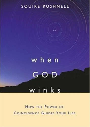 When GOD Winks: How the Power of Coincidence Guides Your Life - VERY GOOD - image 2