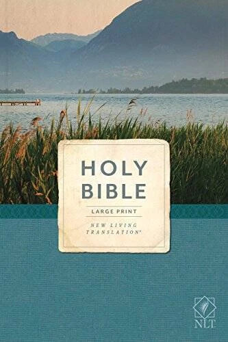 NLT Economy Outreach Bible, Large Print - Paperback - GOOD - image 2