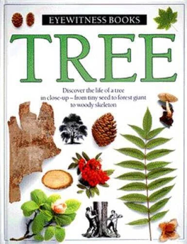 Tree (Eyewitness Books) - Hardcover By Burne, David - GOOD - image 2