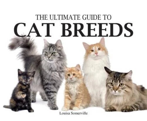 Ultimate Guide to Cat Breeds (Paperback Chunkies) - Paperback - VERY GOOD - image 2