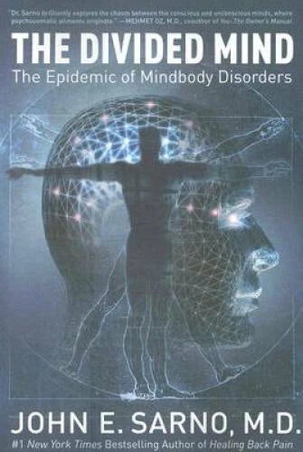 The Divided Mind: The Epidemic of Mindbody Disorders - Paperback - VERY GOOD - image 2