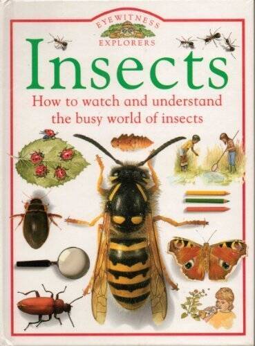 Insects (Eyewitness Explorers) - Hardcover By Parker, Steve - ACCEPTABLE