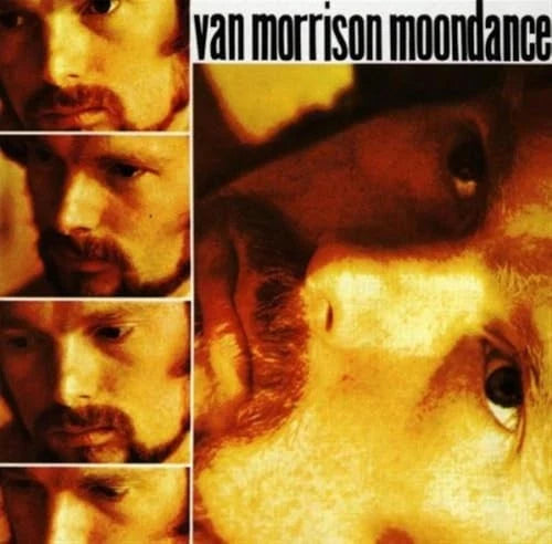 Moondance - VERY GOOD - image 2