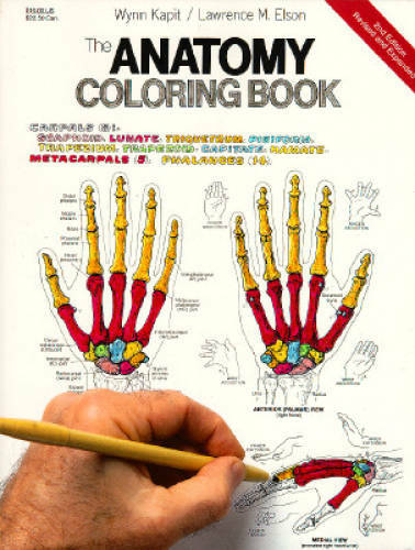 The Anatomy Coloring Book - Paperback By Kapit, Wynn - GOOD