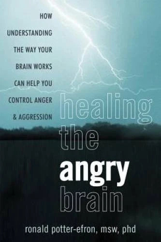 Healing the Angry Brain: How Understanding the Way Your Brain Works Can H - GOOD - image 2