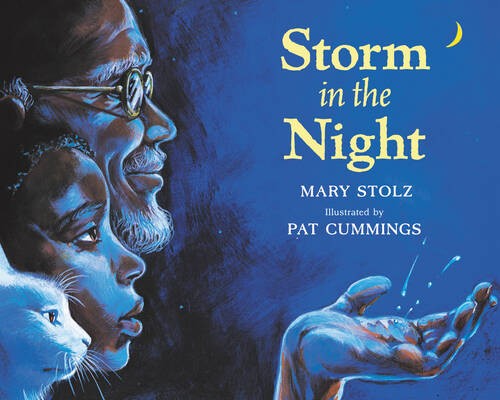 Storm in the Night - Paperback By Stolz, Mary - GOOD