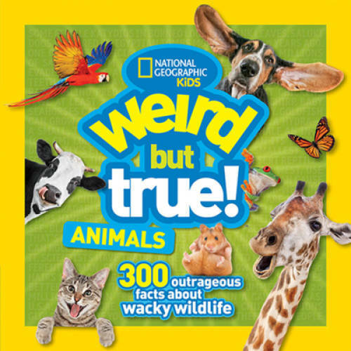 Weird But True Animals - Paperback By Kids, National Geographic - VERY GOOD