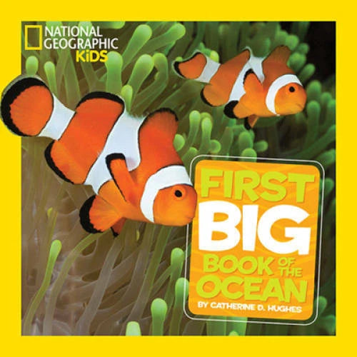 National Geographic Little Kids First Big Book of the Ocean (National Geo - GOOD - image 2