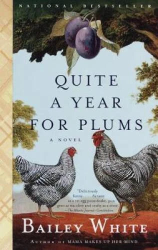 Quite a Year for Plums: A Novel - Paperback By White, Bailey - VERY GOOD - image 2